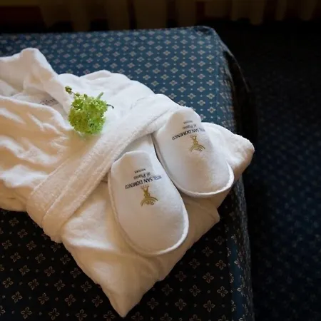 Hotel San Domenico Al Piano 4*