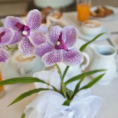 Hotel San Domenico Al Piano Matera